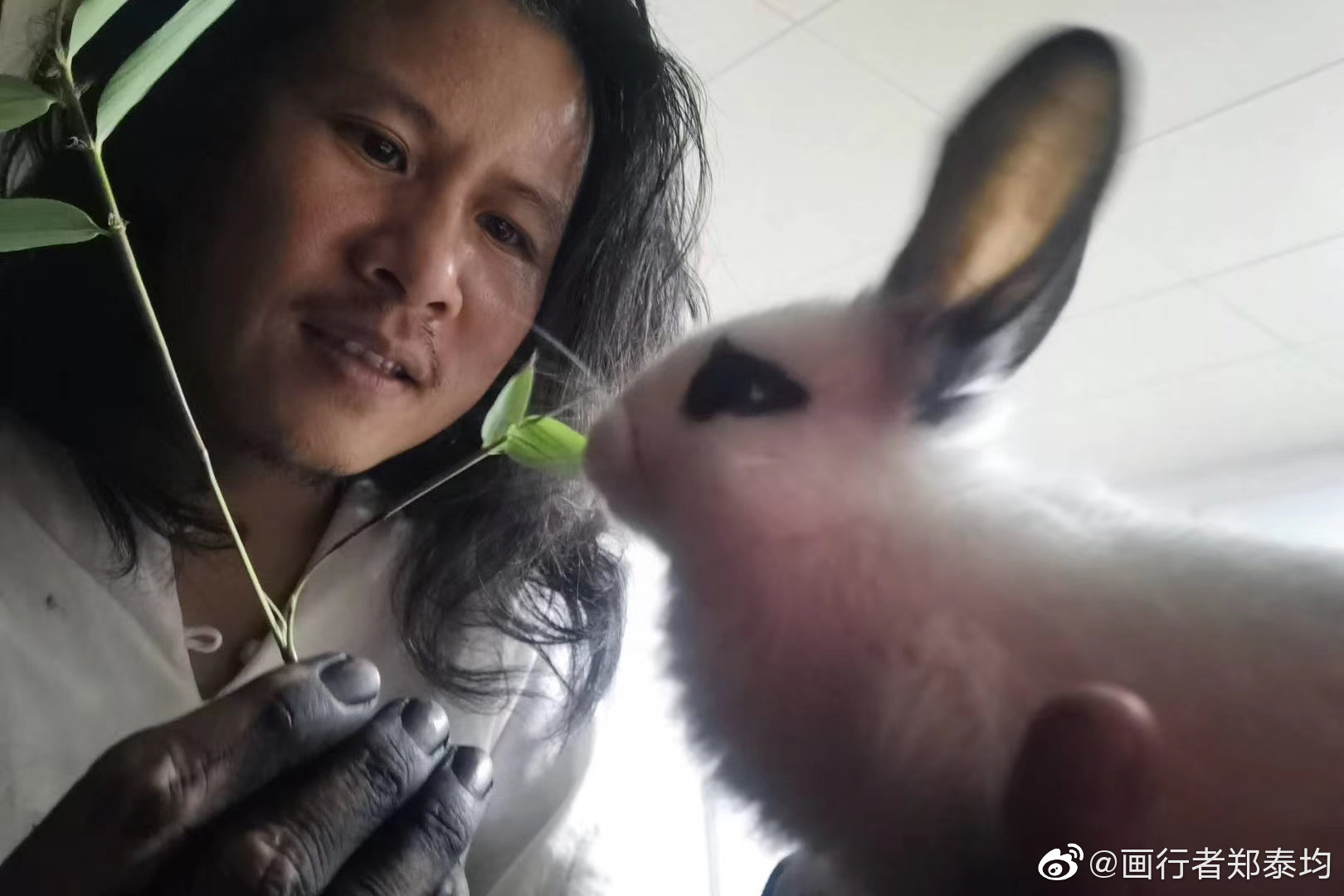 http://www.2uh.cn/?id=294